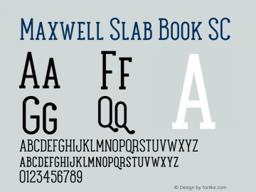 Maxwell Slab Book SC Version 1.000图片样张