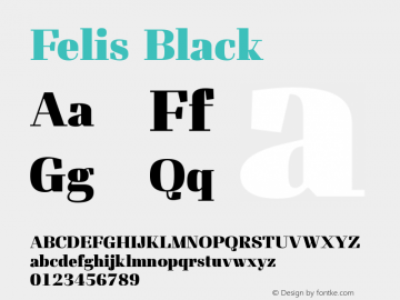 Felis Black Version 1.000图片样张