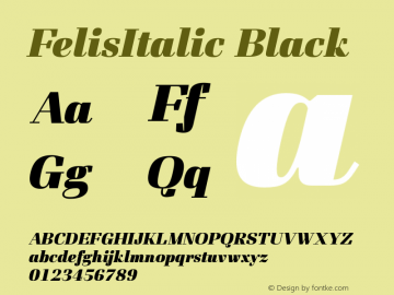 FelisItalic Black Version 1.000图片样张