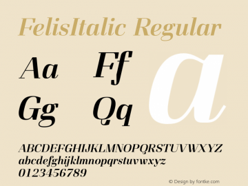 FelisItalic Regular Version 1.000图片样张