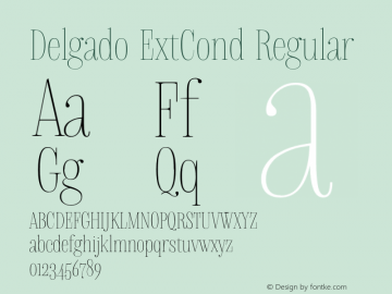 Delgado ExtCond Regular Version 1.001;PS 001.001;hotconv 1.0.56图片样张