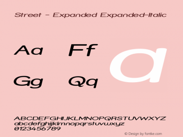 Street - Expanded Expanded-Italic Version 001.000 Font Sample