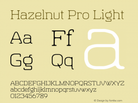 Hazelnut Pro Light Version 1.000图片样张