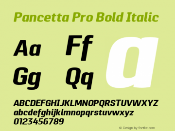 Pancetta Pro Bold Italic Version 1.000 Font Sample