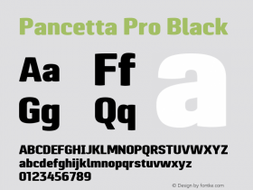 Pancetta Pro Black Version 1.000图片样张
