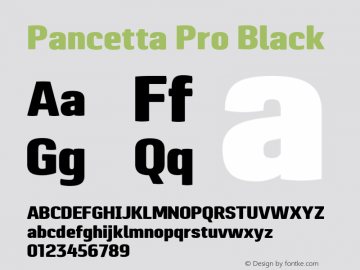 Pancetta Pro Black Version 1.000 Font Sample