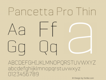 Pancetta Pro Thin Version 1.000 Font Sample