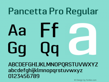 Pancetta Pro Regular Version 001.000;com.myfonts.easy.konstantynov.pancetta-pro.medium.wfkit2.version.455c Font Sample