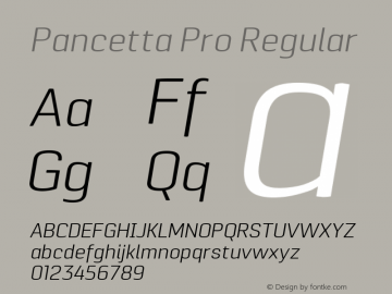 Pancetta Pro Regular Version 001.000;com.myfonts.easy.konstantynov.pancetta-pro.light-italic.wfkit2.version.455b图片样张