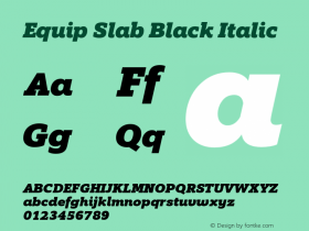Equip Slab Black Italic Version 1.000图片样张