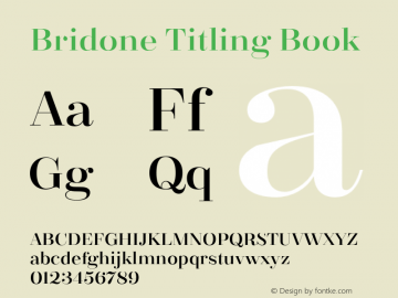 Bridone Titling Book Version 1.000;com.myfonts.tipo-pepel.bridone.titling-book.wfkit2.45Yx图片样张