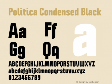 Politica Condensed Black Version 1.002;PS 001.002;hotconv 1.0.70;makeotf.lib2.5.58329;com.myfonts.sudtipos.politica2.black-cond.wfkit2.45Zz Font Sample