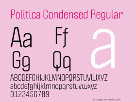 Politica Condensed Regular Version 1.002;PS 001.002;hotconv 1.0.70;makeotf.lib2.5.58329;com.myfonts.sudtipos.politica2.regular-cond.wfkit2.45Zr图片样张