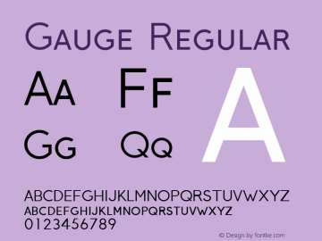 Gauge Regular Version 1.10 2013 Font Sample