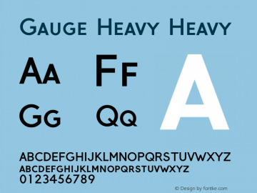 Gauge Heavy Heavy Version 2.0图片样张