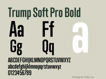 Trump Soft Pro Bold Version 2.0;com.myfonts.canadatype.trump-soft-pro.bold.wfkit2.45ZE Font Sample