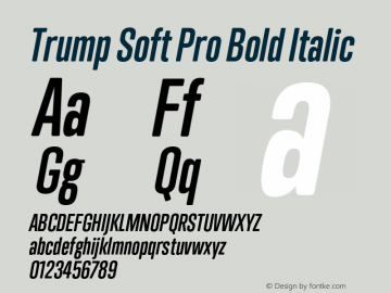 Trump Soft Pro Bold Italic Version 2.0;com.myfonts.canadatype.trump-soft-pro.bold-italic.wfkit2.45ZG Font Sample