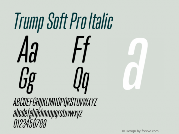 Trump Soft Pro Italic Version 2.0;com.myfonts.canadatype.trump-soft-pro.italic.wfkit2.45ZK图片样张