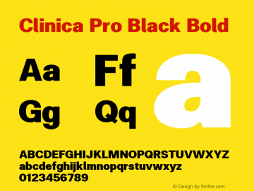 Clinica Pro Black Bold Version 001.000;com.myfonts.konstantynov.clinica-pro.black.wfkit2.456R Font Sample