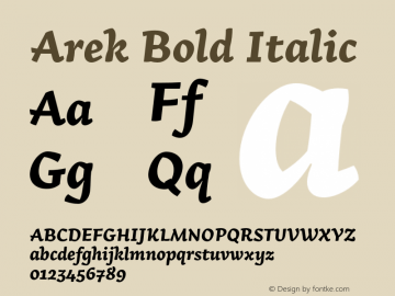 Arek Bold Italic Version 1.200;PS 001.200;hotconv 1.0.70;makeotf.lib2.5.58329 Font Sample