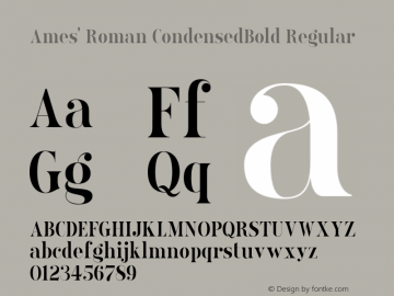 Ames' Roman CondensedBold Regular Version 1.000;PS 001.000;hotconv 1.0.70;makeotf.lib2.5.58329图片样张