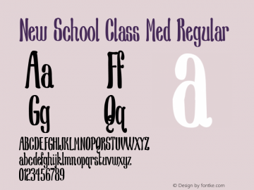 New School Class Med Regular Version 1.00 2014图片样张