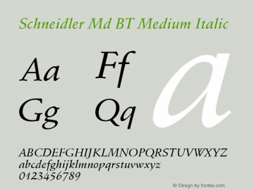 Schneidler Md BT Medium Italic mfgpctt-v1.59 Friday, March 5, 1993 11:09:24 am (EST) Font Sample