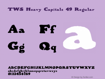 TWS Heavy Capitals 49 Regular Version 1.00 March 10, 2012, initial release图片样张