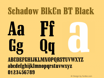 Schadow BlkCn BT Black mfgpctt-v1.53 Monday, February 1, 1993 3:21:37 pm (EST)图片样张