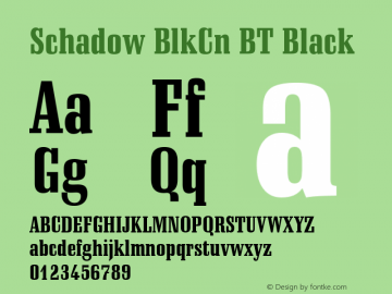 Schadow BlkCn BT Black mfgpctt-v1.53 Monday, February 1, 1993 3:21:37 pm (EST)图片样张