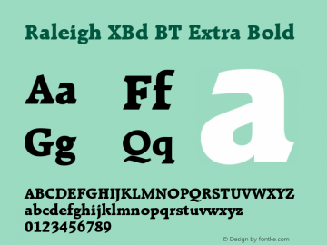 Raleigh XBd BT Extra Bold mfgpctt-v4.4 Jan 1 1999图片样张