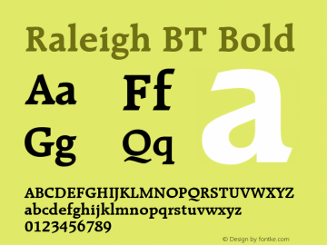 Raleigh BT Bold Version 1.01 emb4-OT图片样张