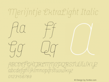 Merijntje ExtraLight Italic Version 1.002;PS 001.002;hotconv 1.0.70;makeotf.lib2.5.58329图片样张