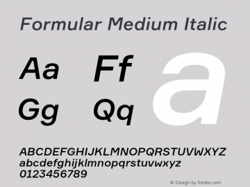 Formular Medium Italic Version 1.000图片样张
