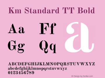 Km Standard TT Bold Version 2.0.2图片样张