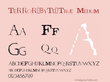 TeRRoR_ByTe_True Medium Version 001.000 Font Sample