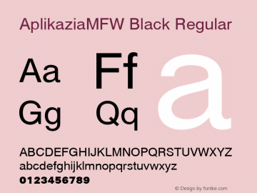 AplikaziaMFW Black Regular Version 1.000图片样张