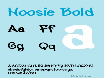 Hoosie Bold Version 1.000图片样张