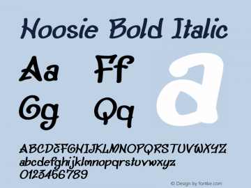 Hoosie Bold Italic Version 1.000图片样张