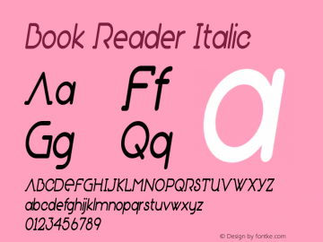 Book Reader Italic Version 1.000图片样张