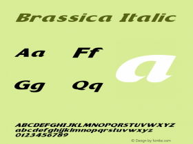 Brassica Italic Version 1.000图片样张