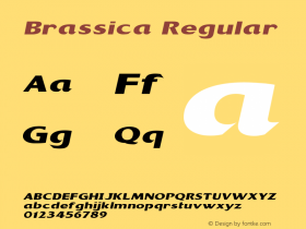 Brassica Regular Version 1.000图片样张