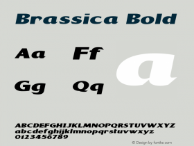 Brassica Bold Version 1.000图片样张