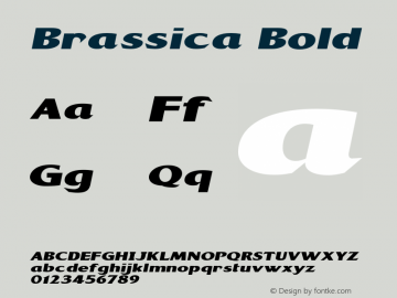 Brassica Bold Version 1.000 Font Sample