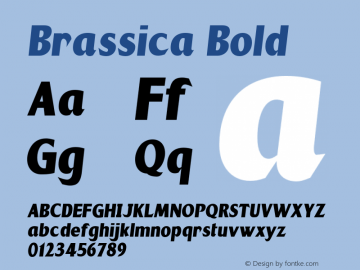 Brassica Bold Version 1.000 Font Sample