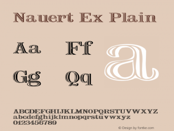 Nauert Ex Plain Unknown Font Sample