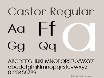 Castor Regular Version 1.000 Font Sample