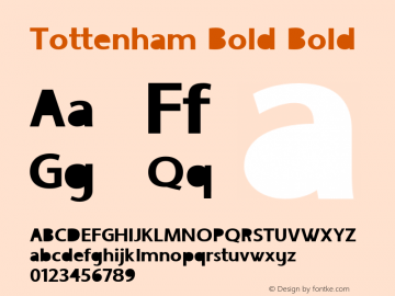 Tottenham Bold Bold Version 1.000图片样张