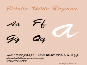 Bristle Wide Regular Version 1.500 Font Sample