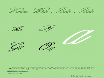 Varion Wide Italic Italic Version 1.000图片样张